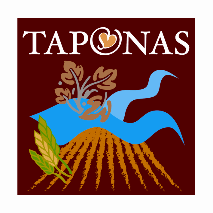 Taponas